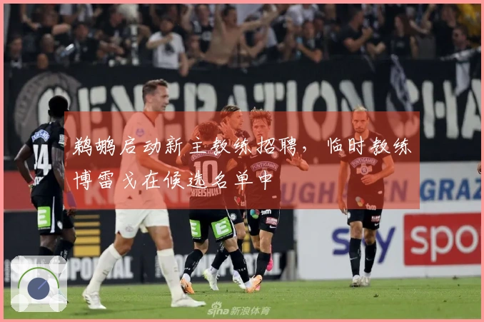 鹈鹕启动新主教练招聘，临时教练博雷戈在候选名单中