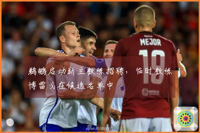 鹈鹕启动新主教练招聘，临时教练博雷戈在候选名单中